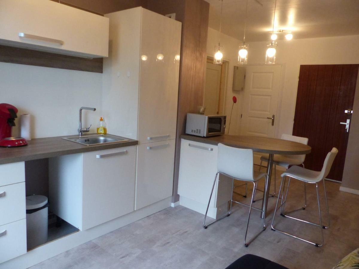 Appartement Au Calme, Avec Parc Prive, 50M Du Tram Tours Exterior photo